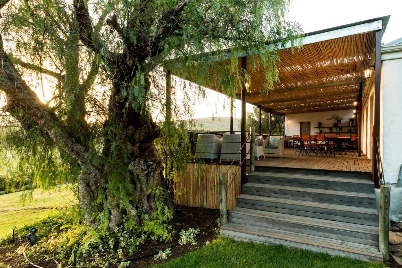 Swartberg Country Manor Guest House Matjiesrivier  Exterior foto