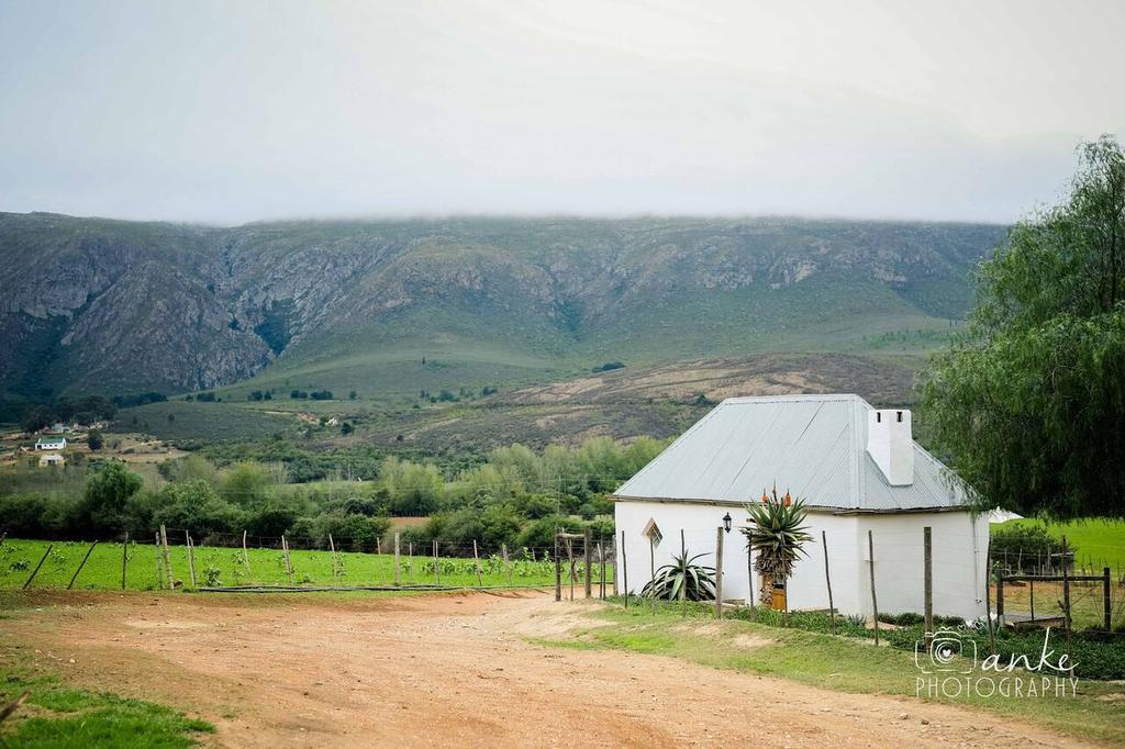 Swartberg Country Manor Guest House Matjiesrivier  Exterior foto