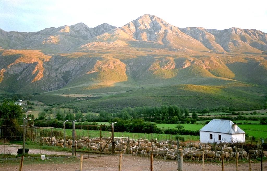 Swartberg Country Manor Guest House Matjiesrivier  Exterior foto
