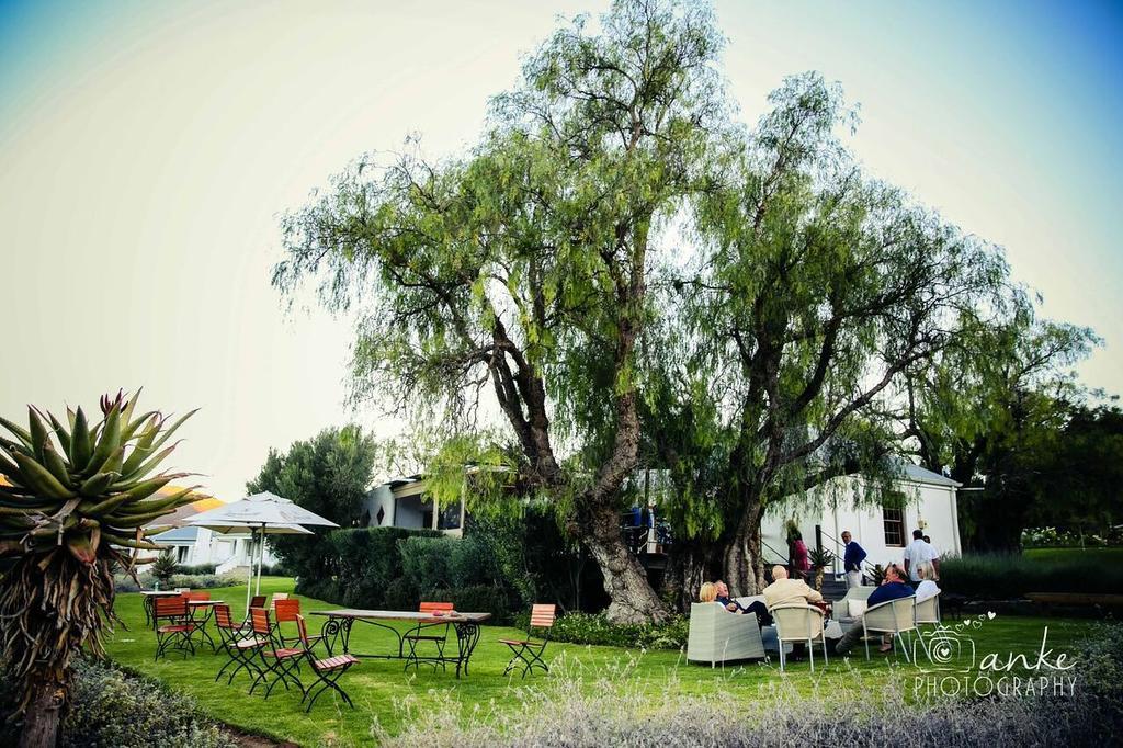 Swartberg Country Manor Guest House Matjiesrivier  Exterior foto